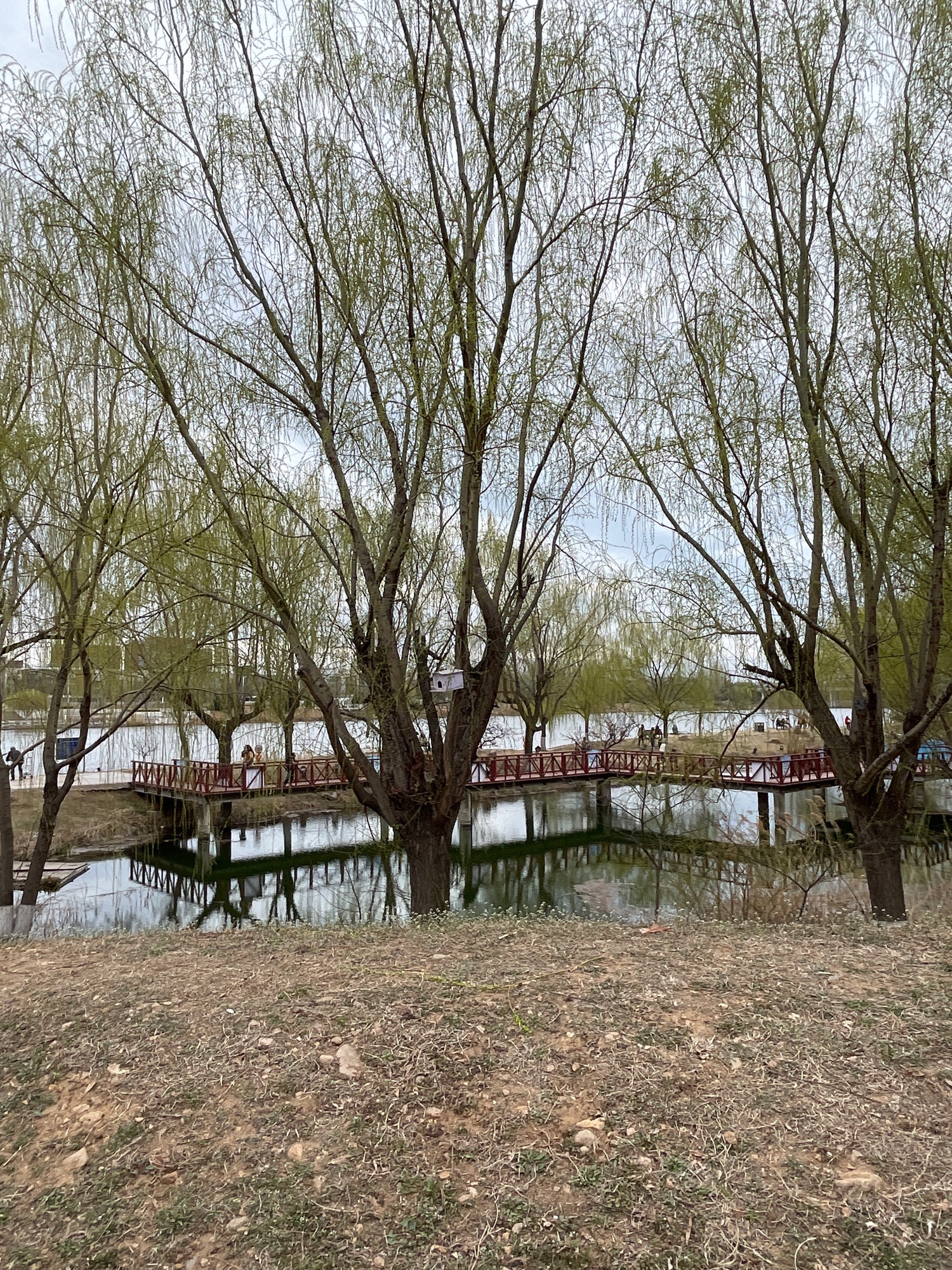 白沙河运动公园旅行图片 2