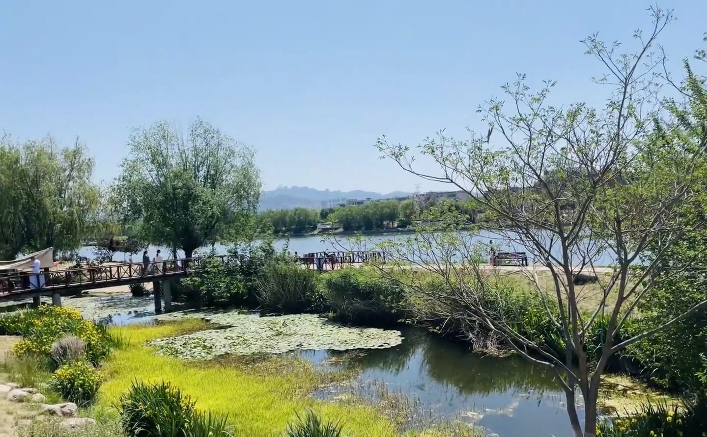 白沙河运动公园旅行图片 1