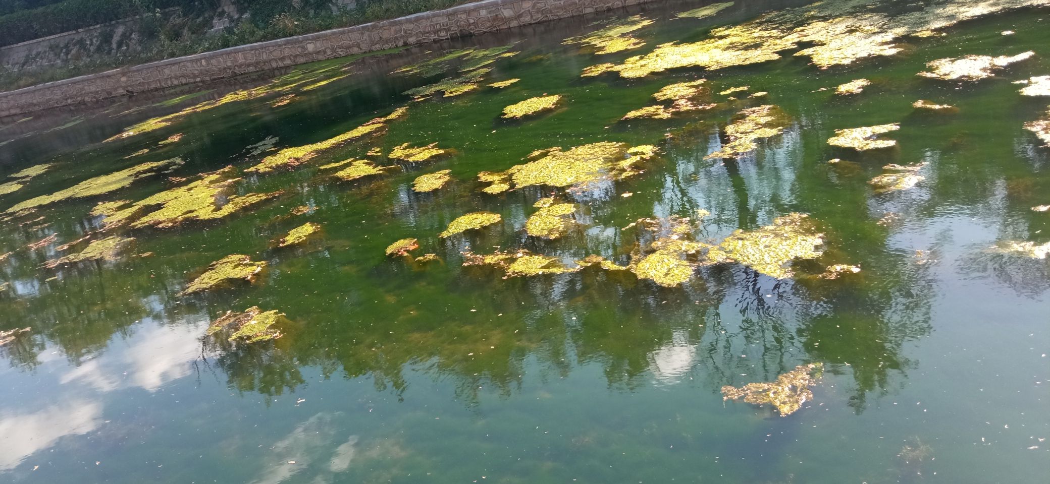 木栈道旅行图片 2
