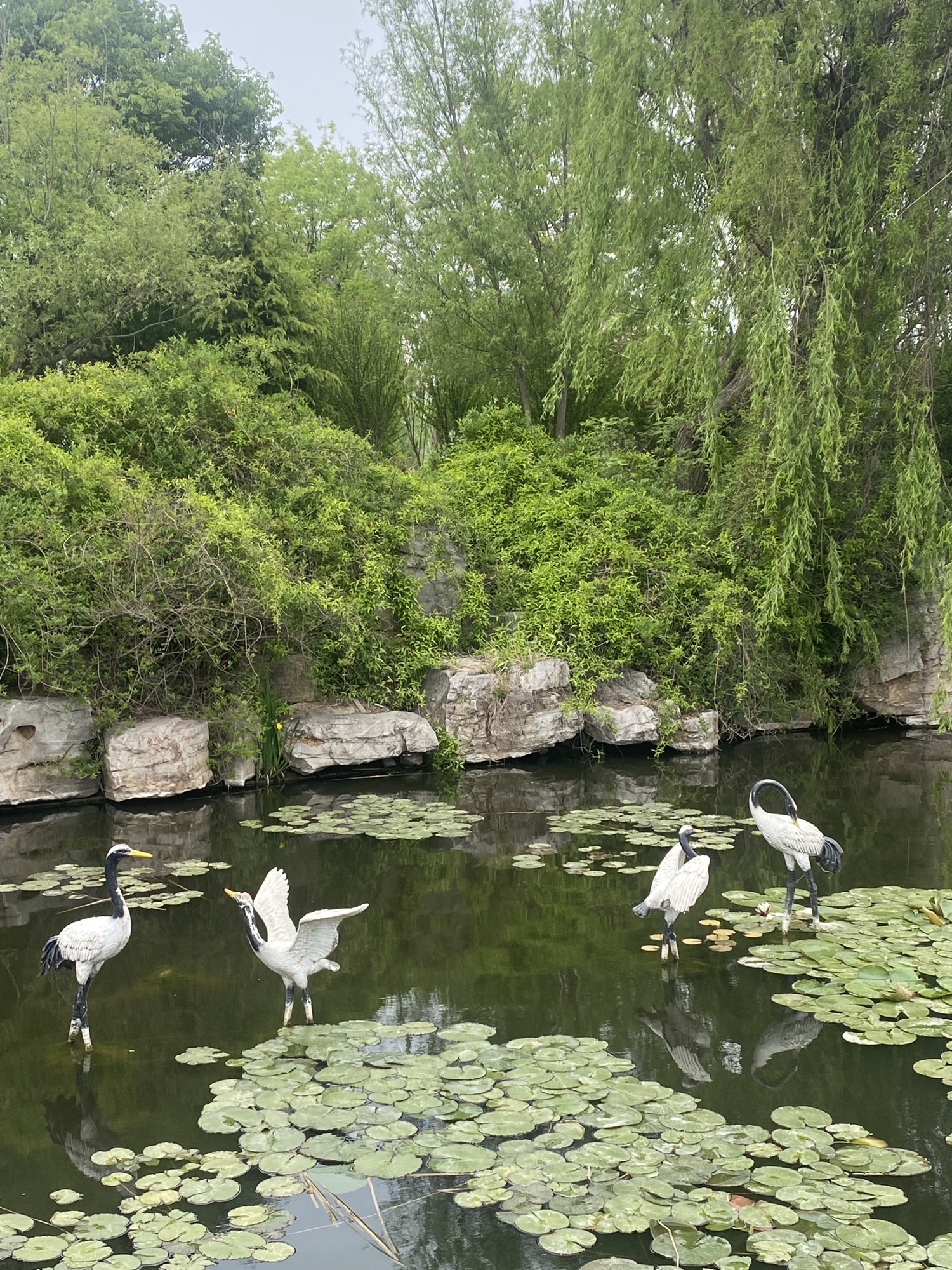 麻湾渔乐园旅行图片