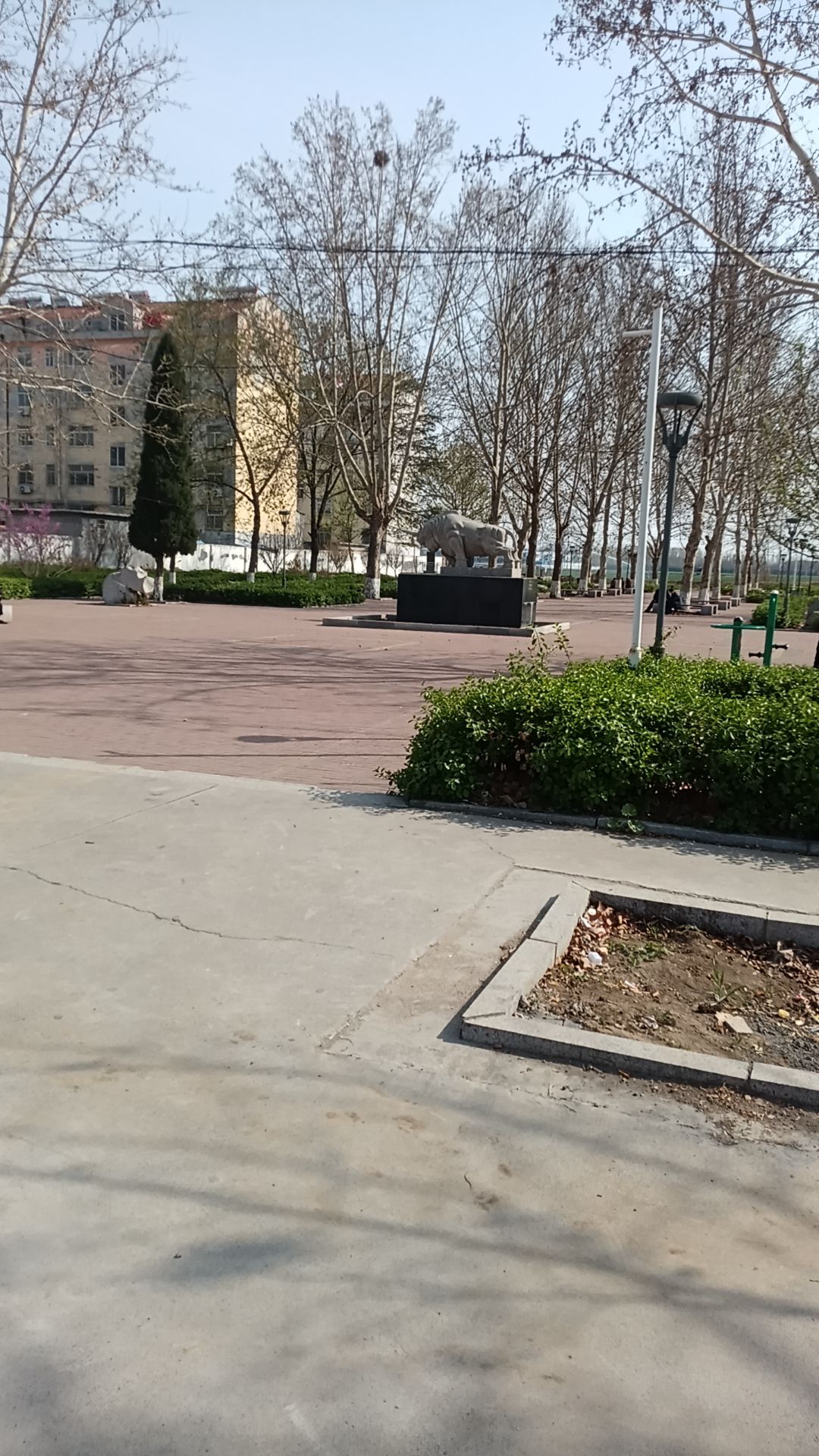 陈庄公园旅行图片 1