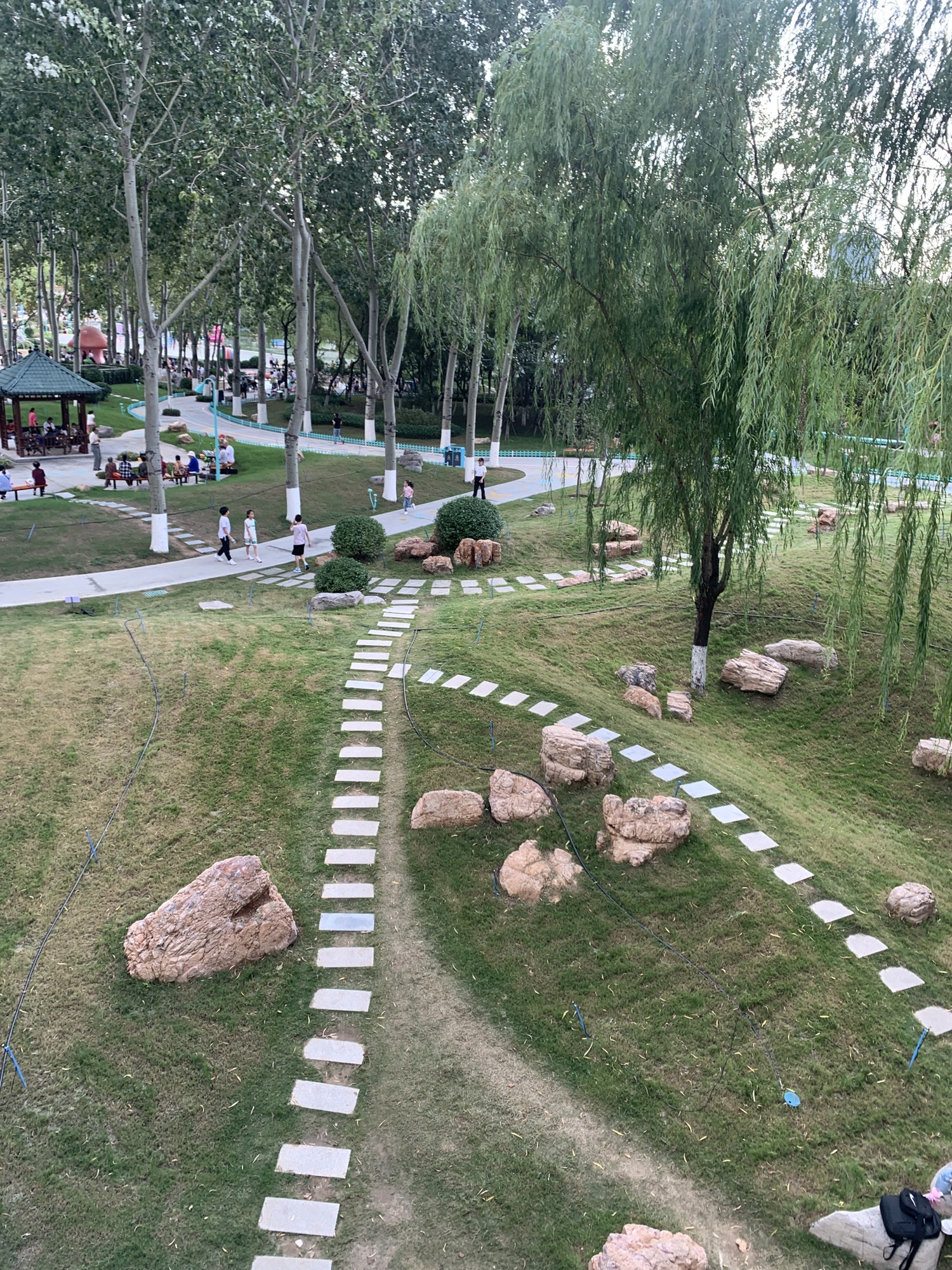 张店儿童公园旅行图片 1