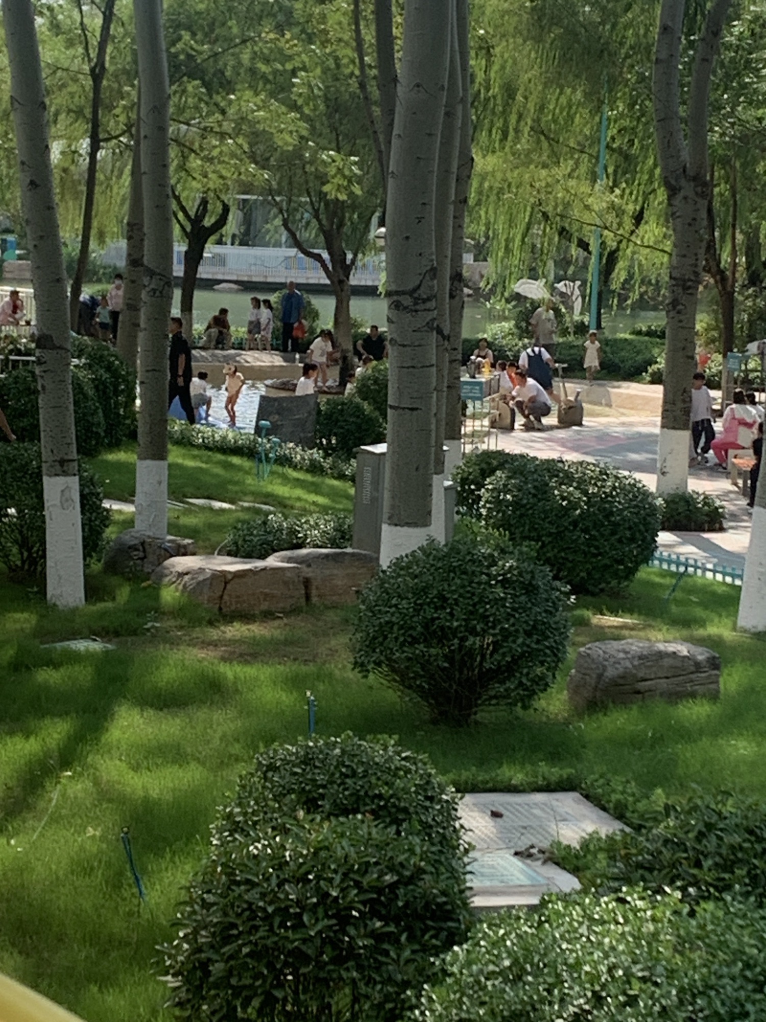 张店儿童公园旅行图片 3