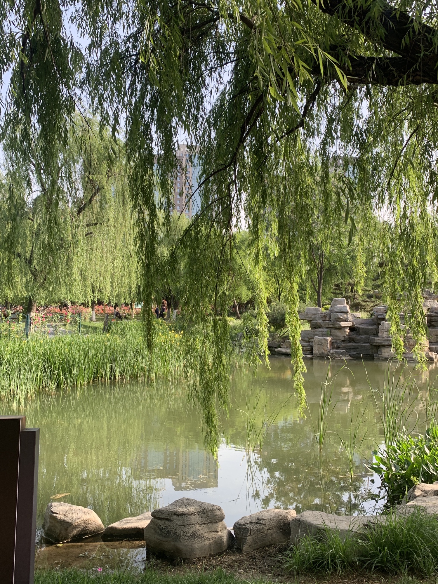 莲池法治文化公园旅行图片 2