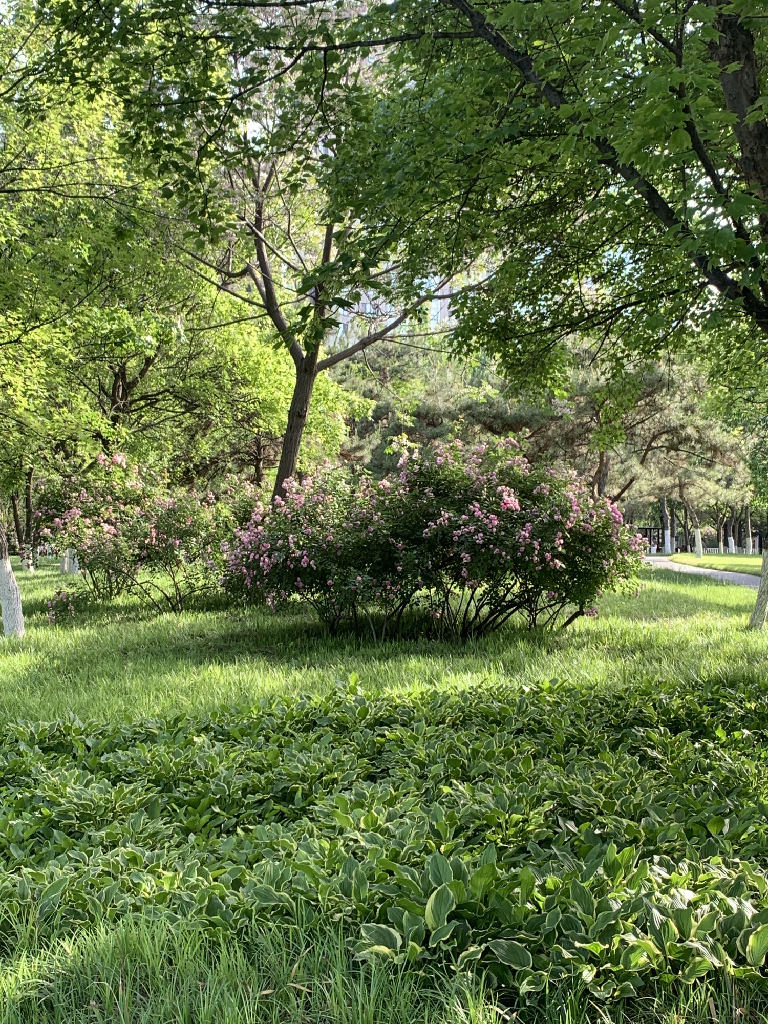 莲池法治文化公园旅行图片 3