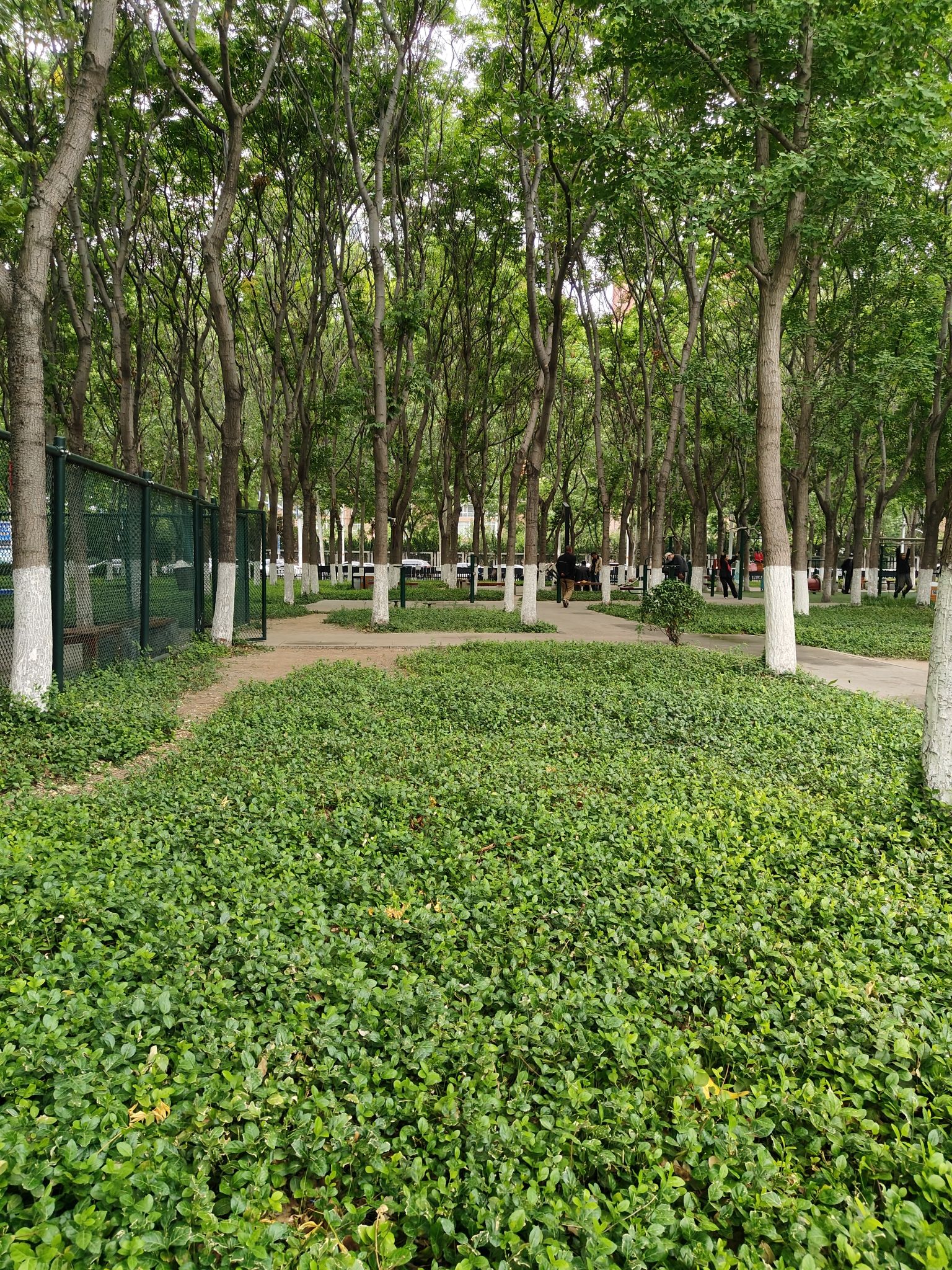 莲池法治文化公园旅行图片 3