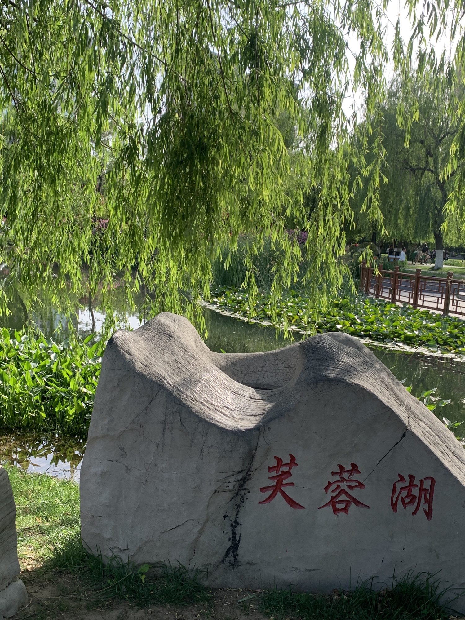莲池法治文化公园旅行图片 1