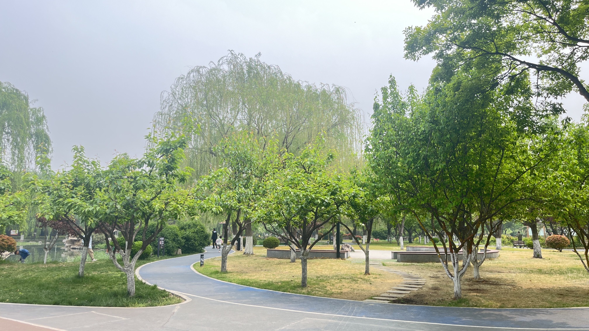 莲池法治文化公园旅行图片 3