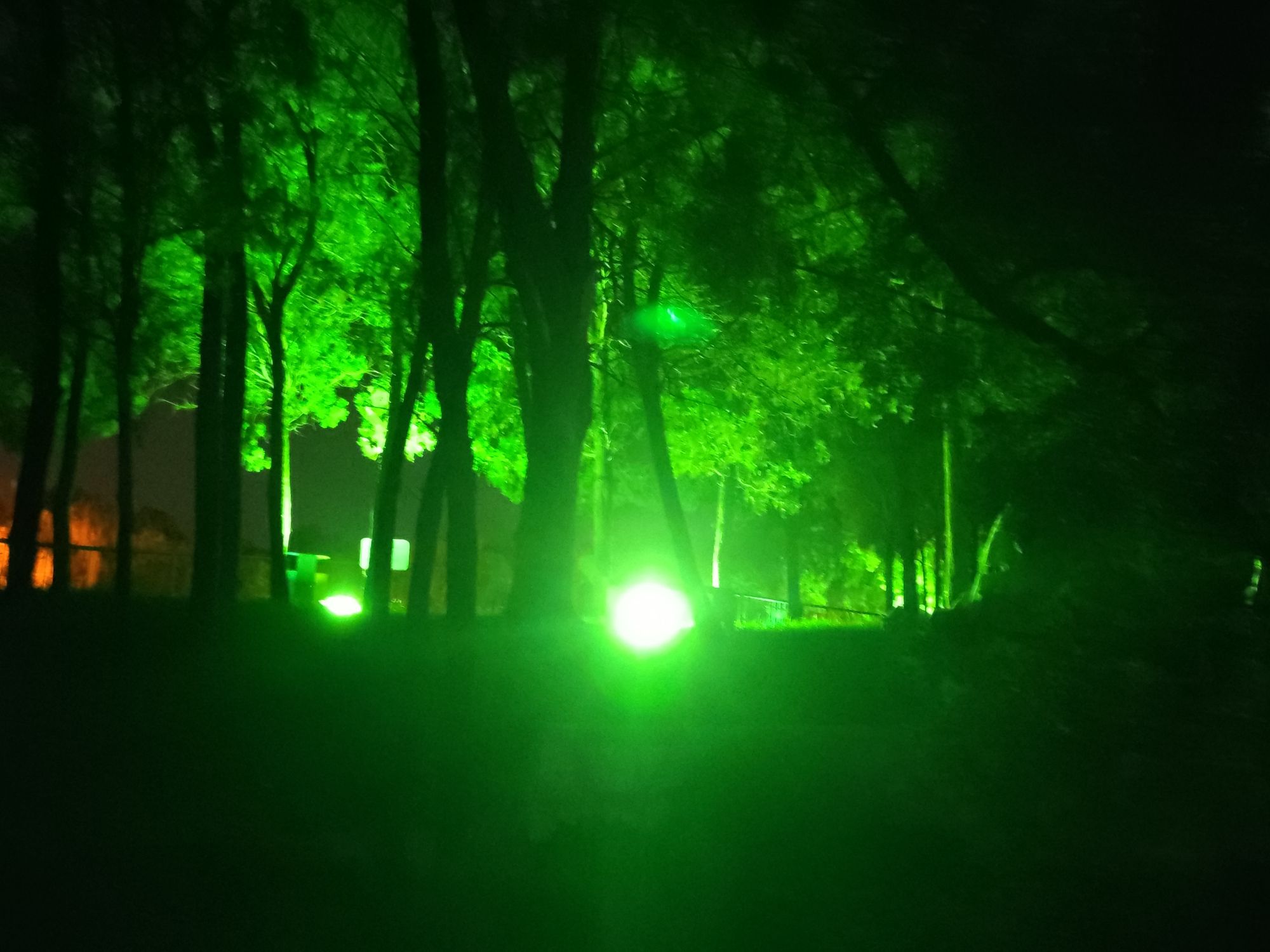 西山公园旅行图片 1