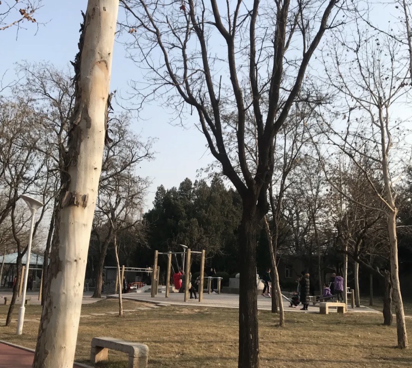 西山公园旅行图片 2