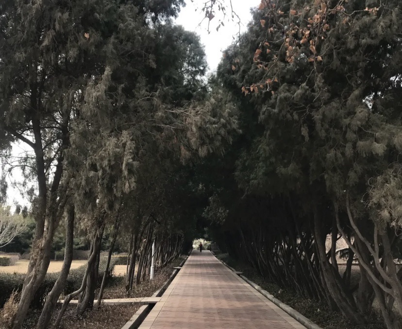 西山公园旅行图片 1