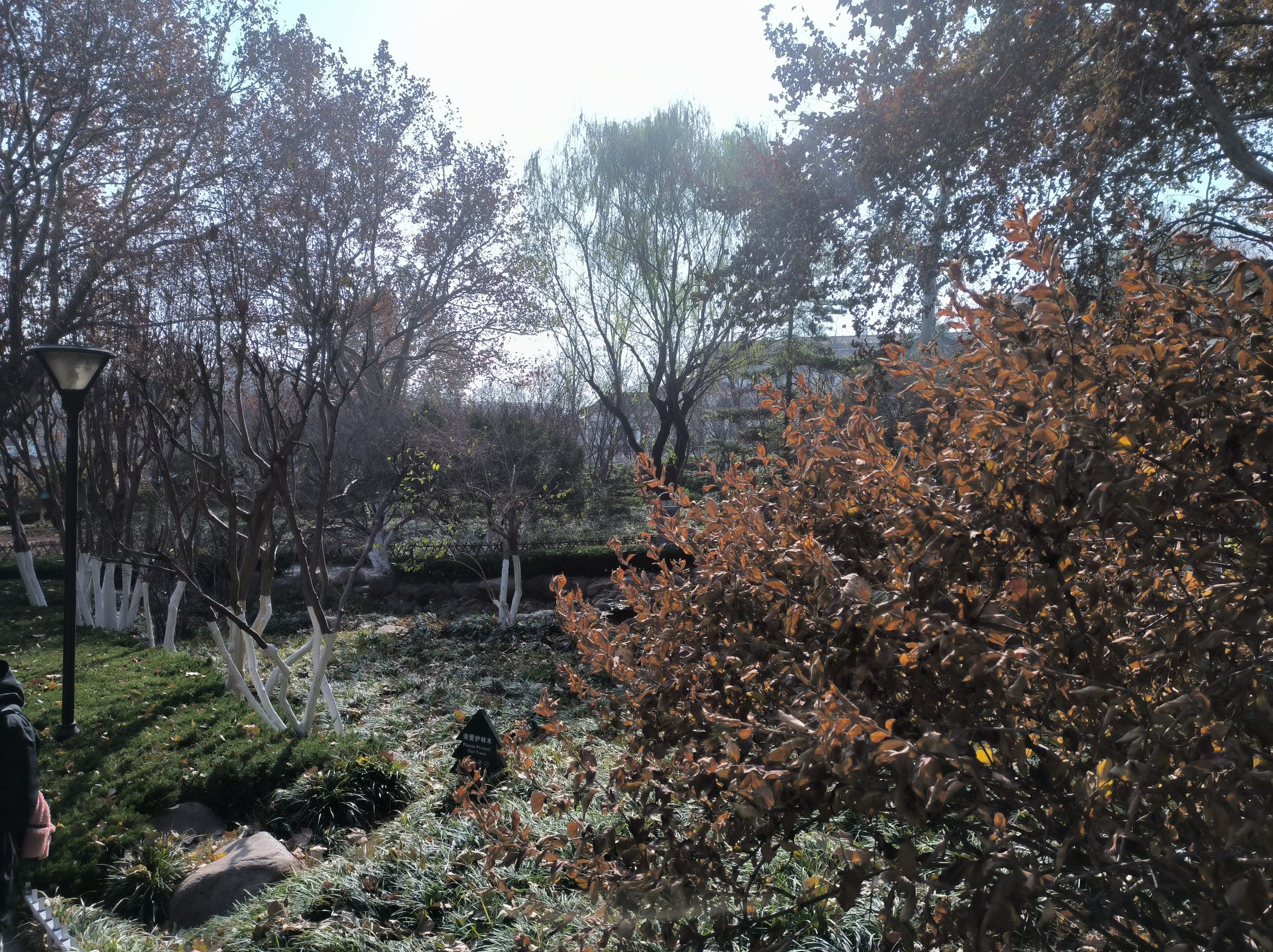 博山人民公园旅行图片 2