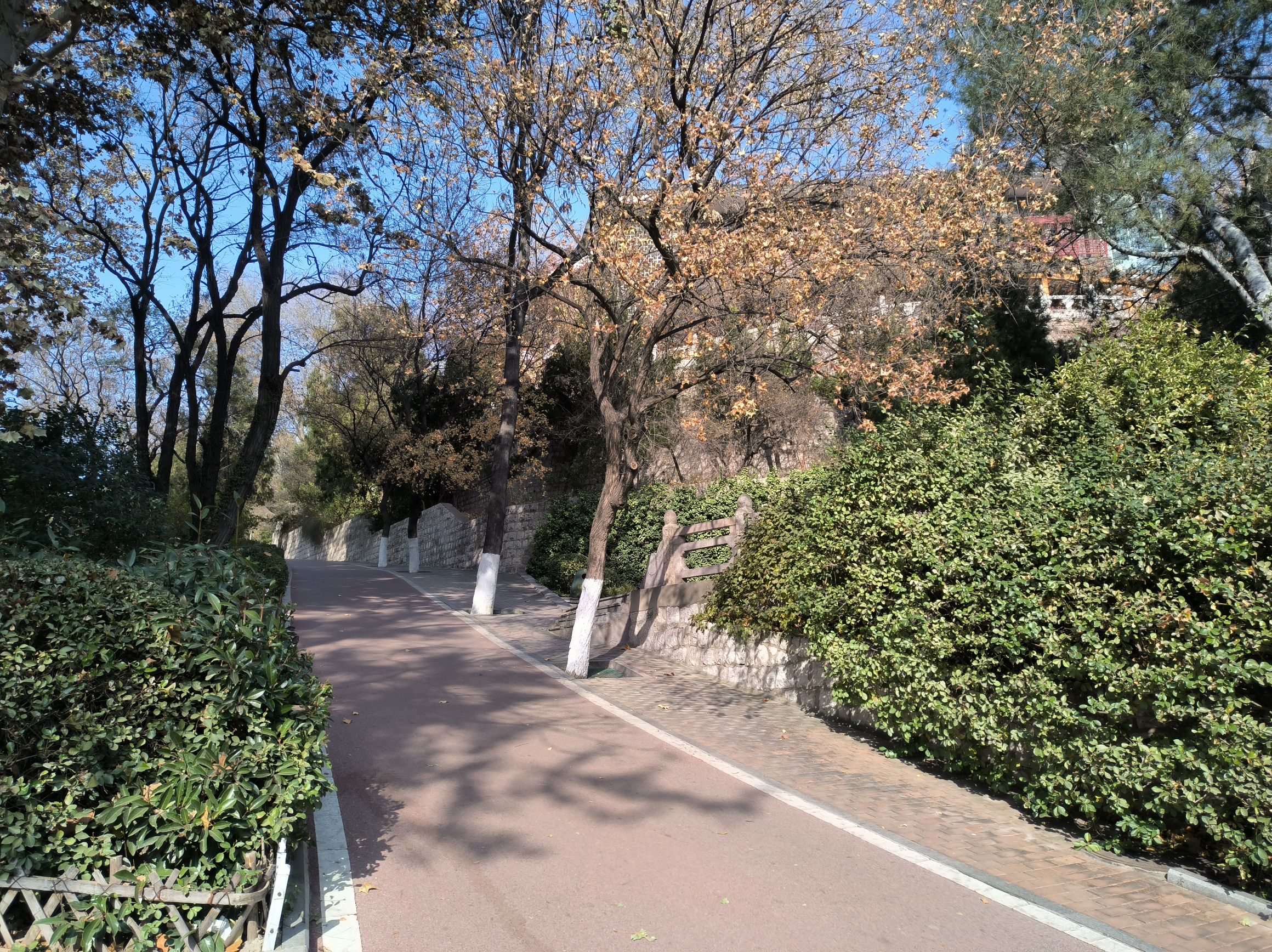 博山人民公园旅行图片 3