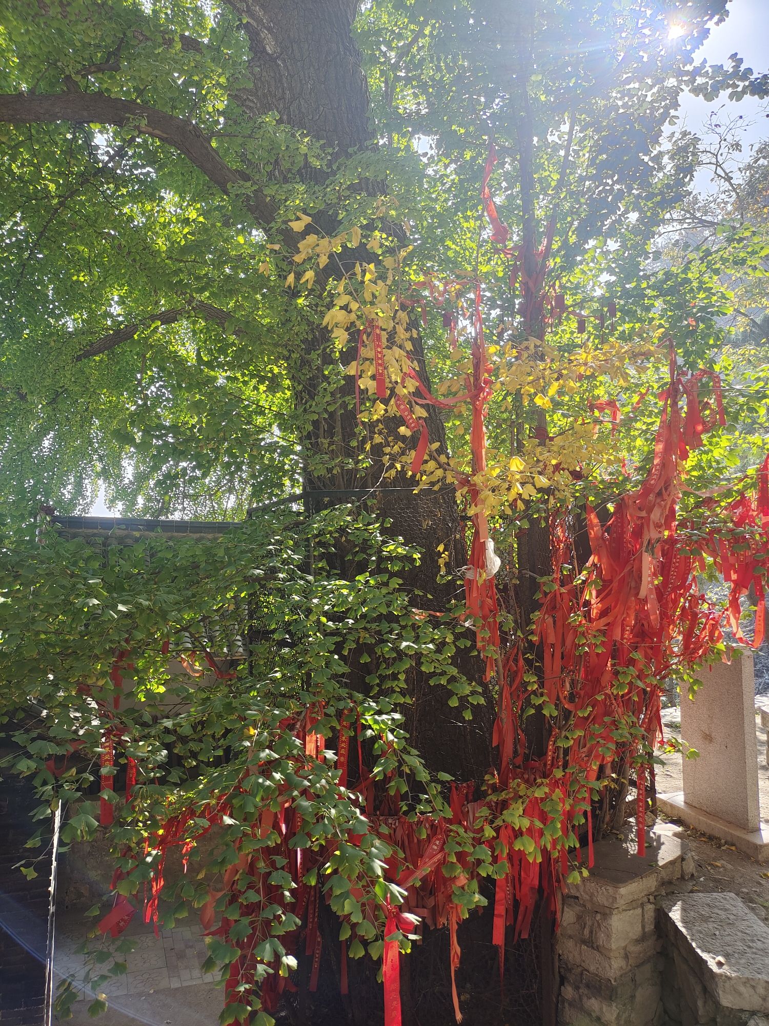 白石洞旅游风景区旅行图片 3