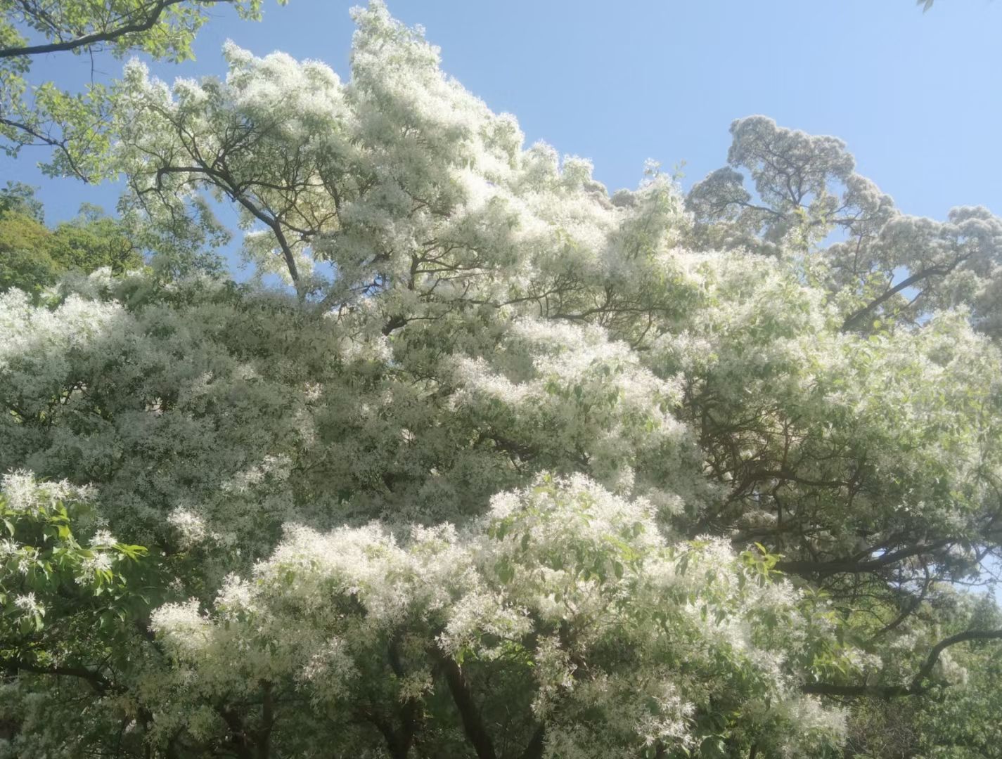 白石洞旅游风景区旅行图片 2