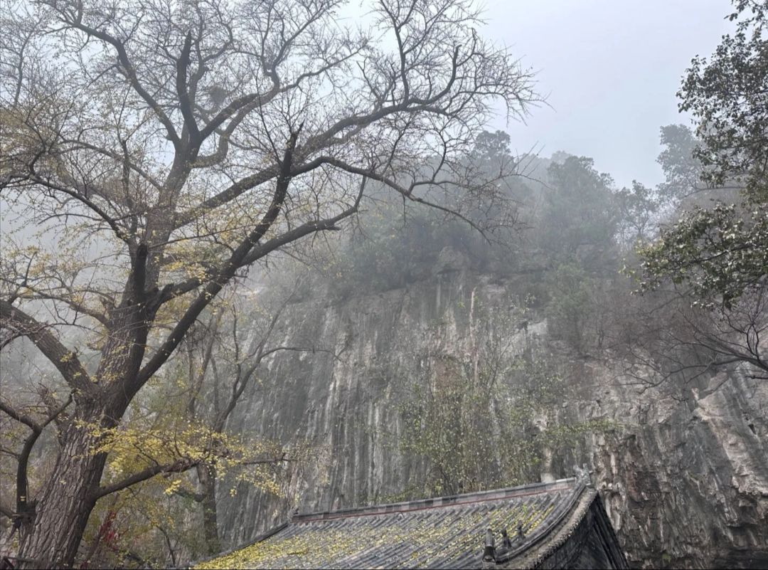 白石洞旅游风景区旅行图片 3
