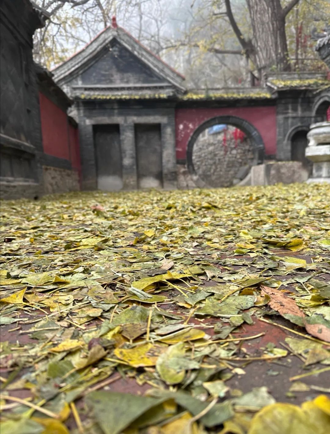 白石洞旅游风景区旅行图片 1