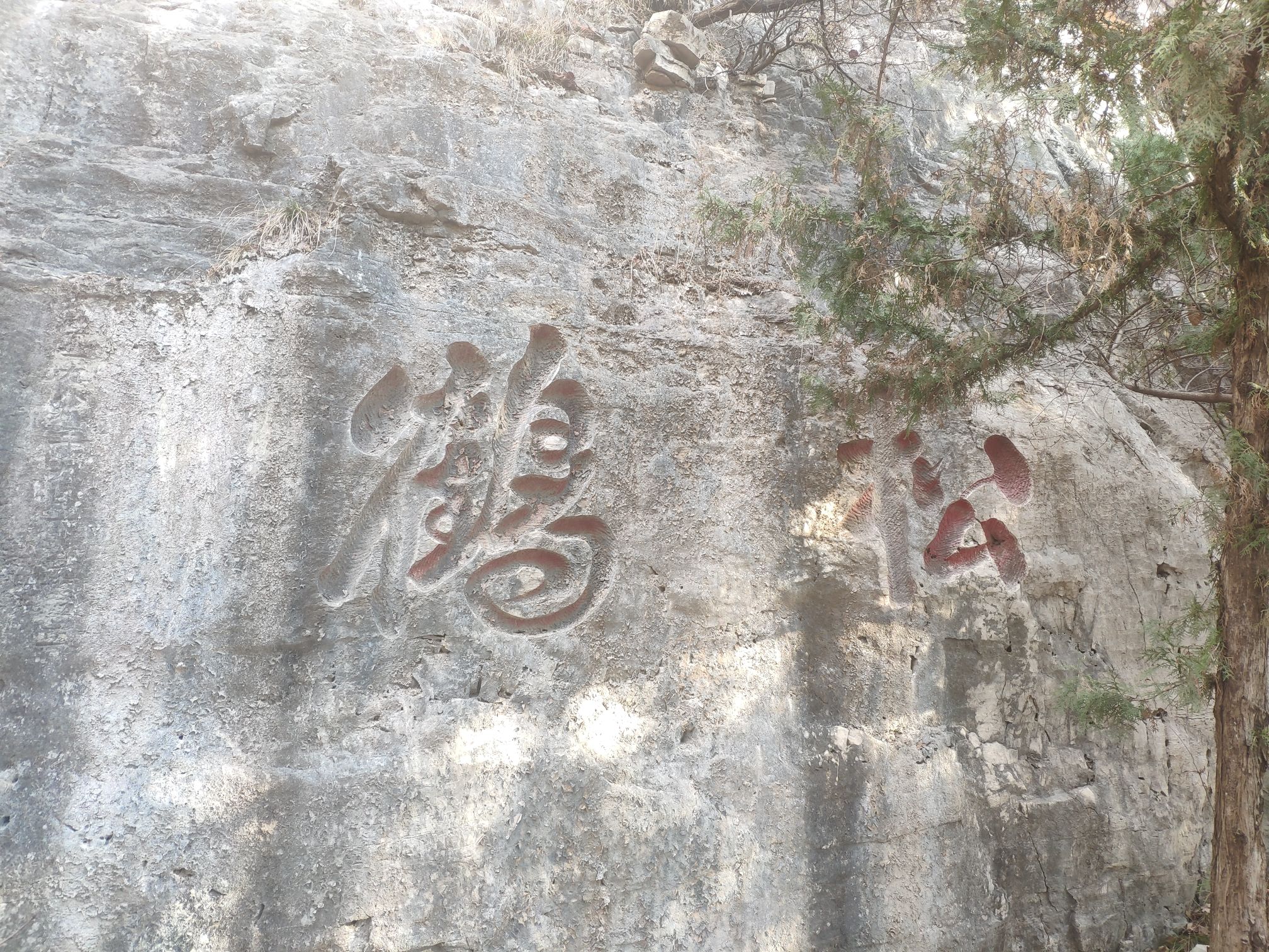 金牛山景区旅行图片 2