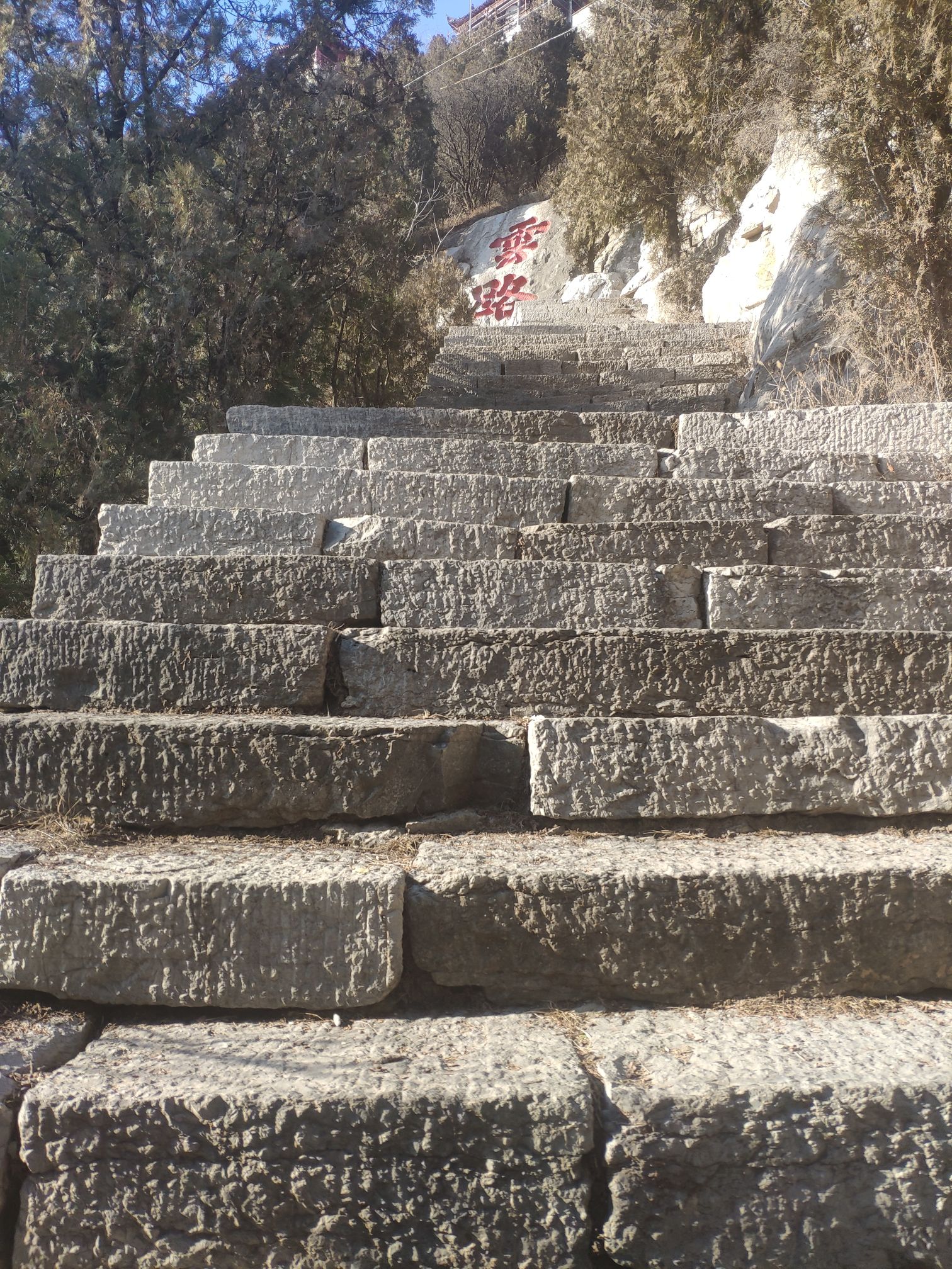 金牛山景区旅行图片 3