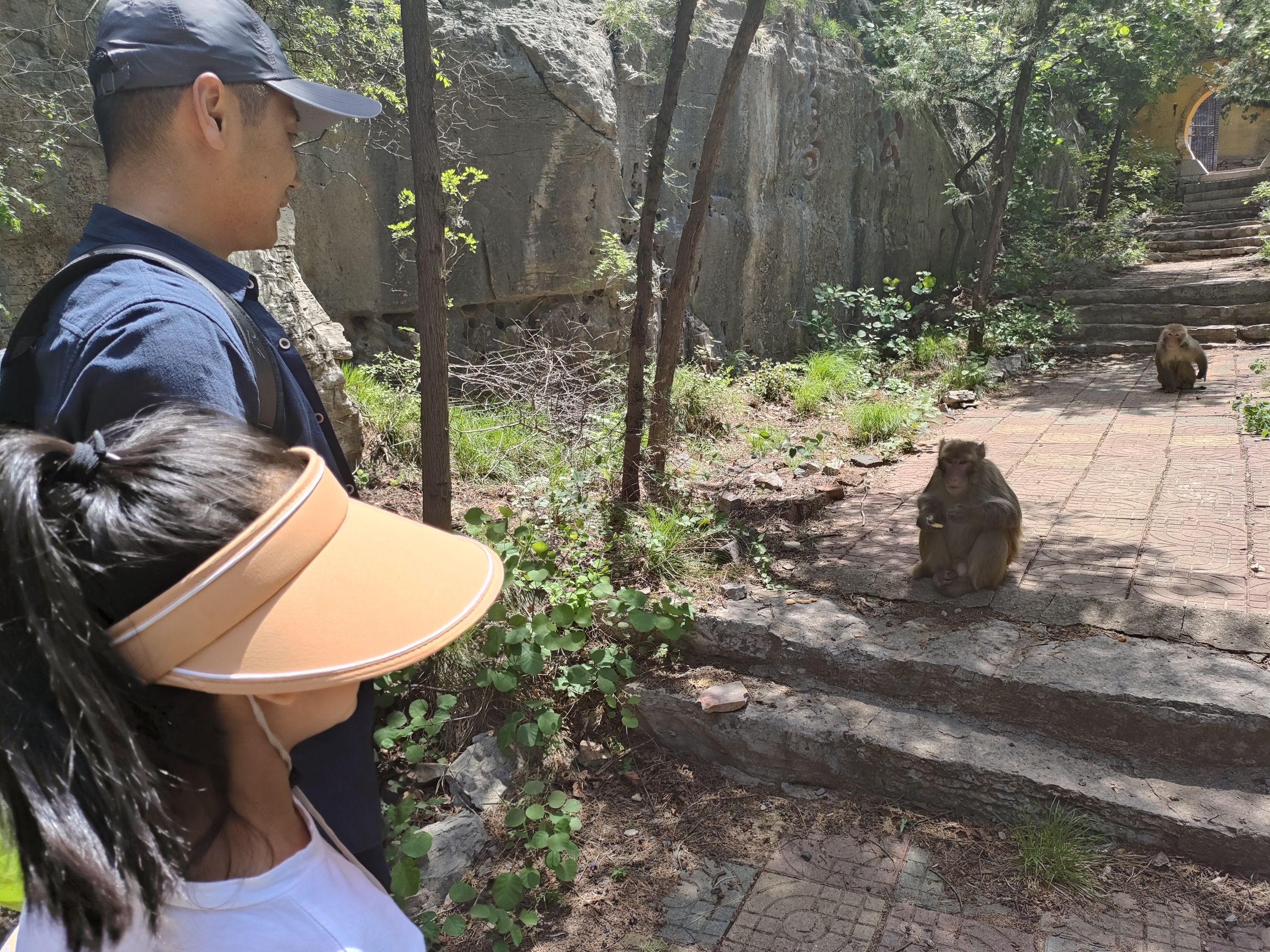 金牛山景区旅行图片 3