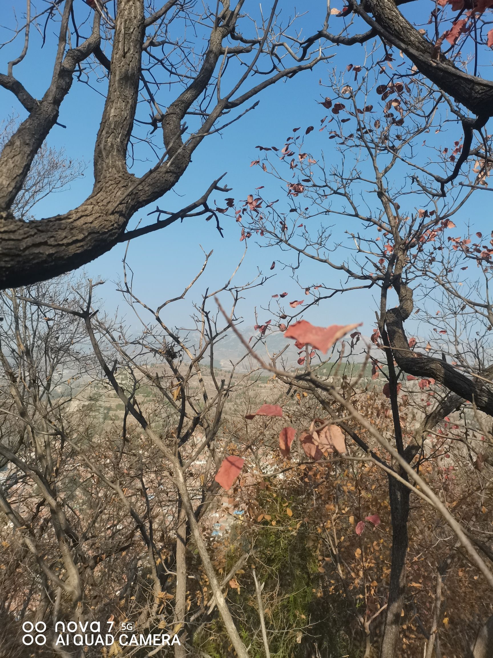 泉河风景区旅行图片 3