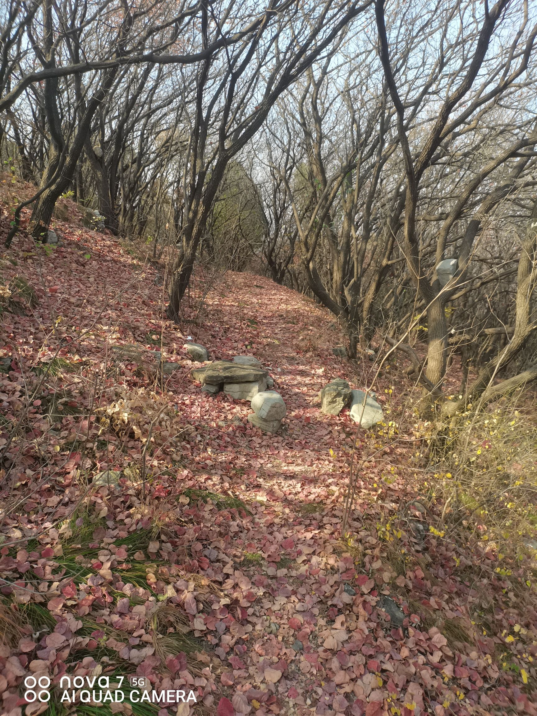 泉河风景区旅行图片 2
