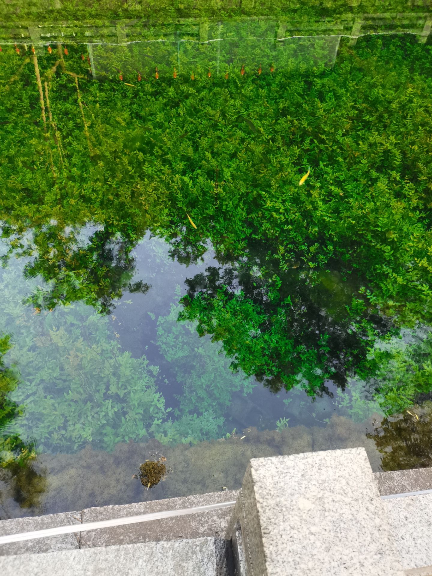 泉河风景区旅行图片 1