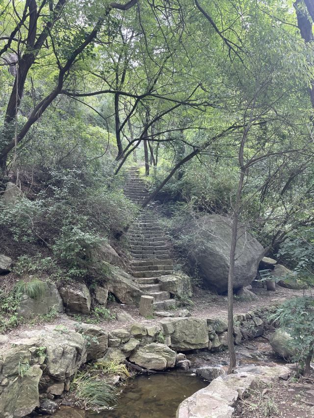 鲁山国家森林公园旅行图片 3