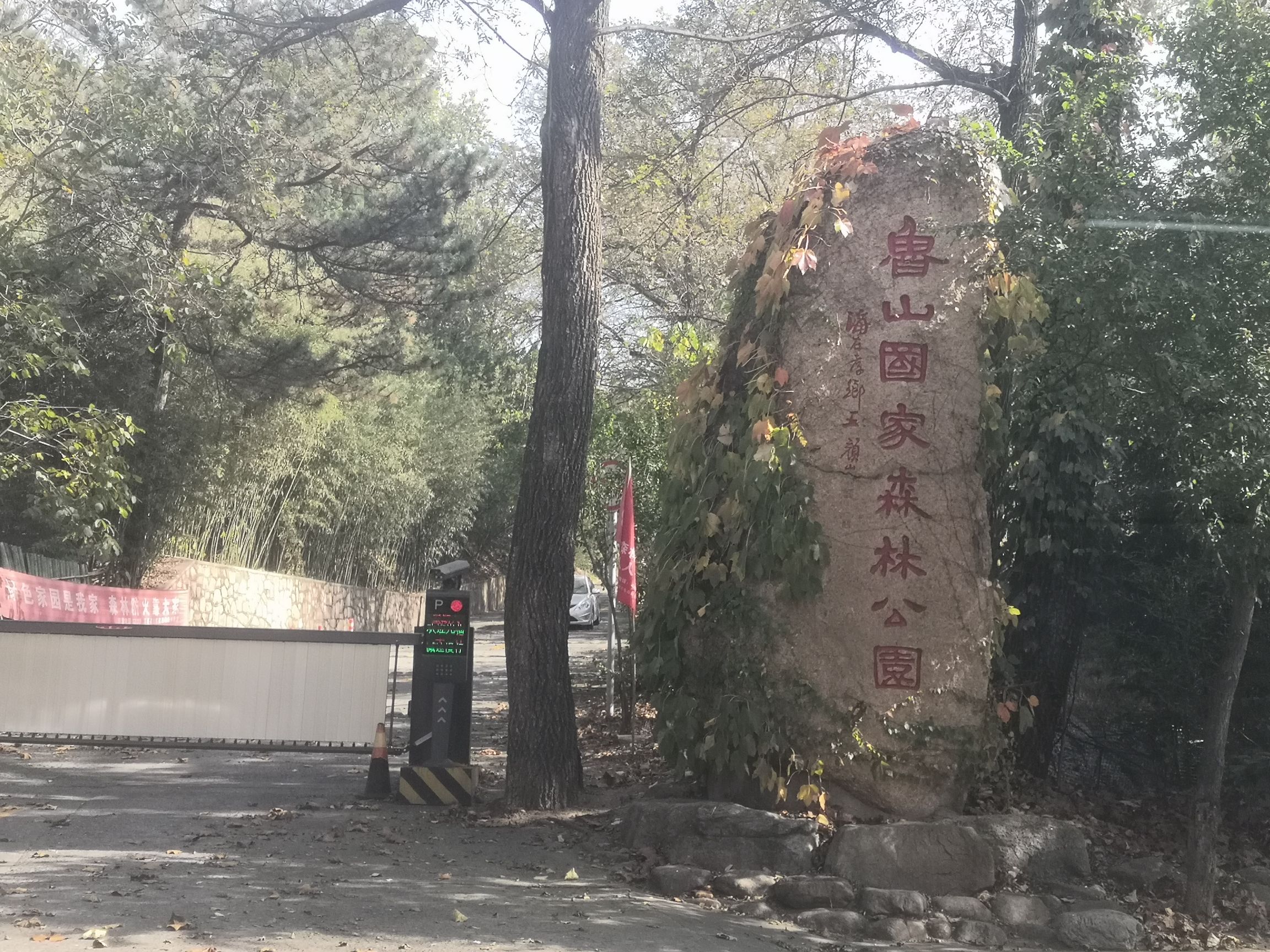 鲁山国家森林公园旅行图片 3
