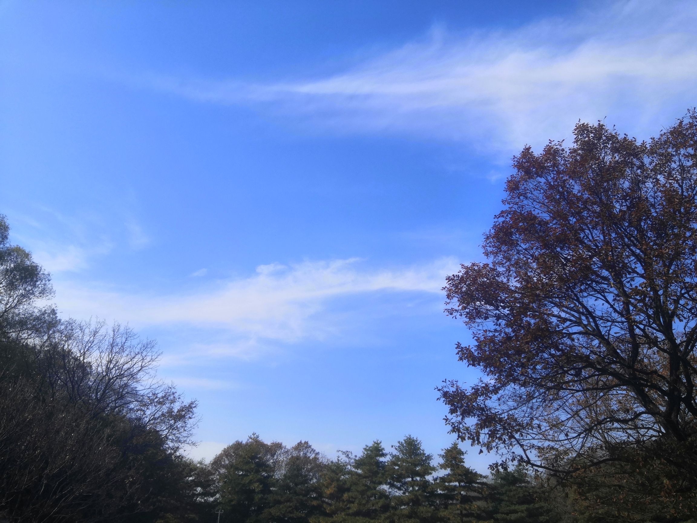 鲁山国家森林公园旅行图片 2