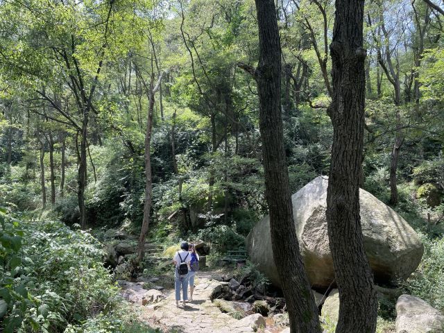 鲁山国家森林公园旅行图片 2