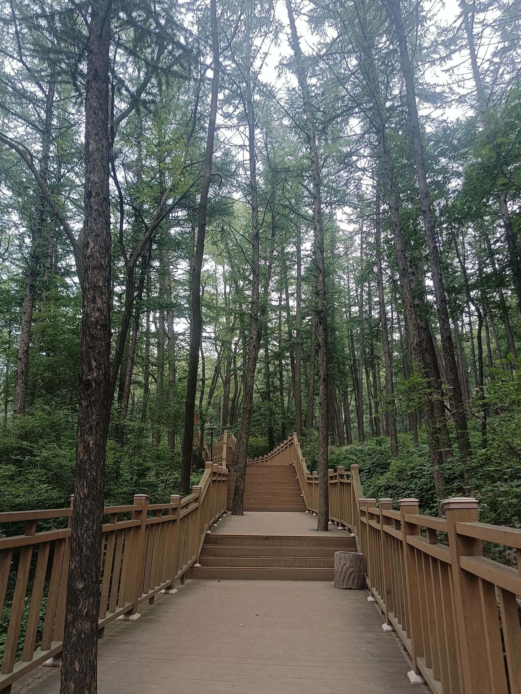 鲁山国家森林公园旅行图片 2
