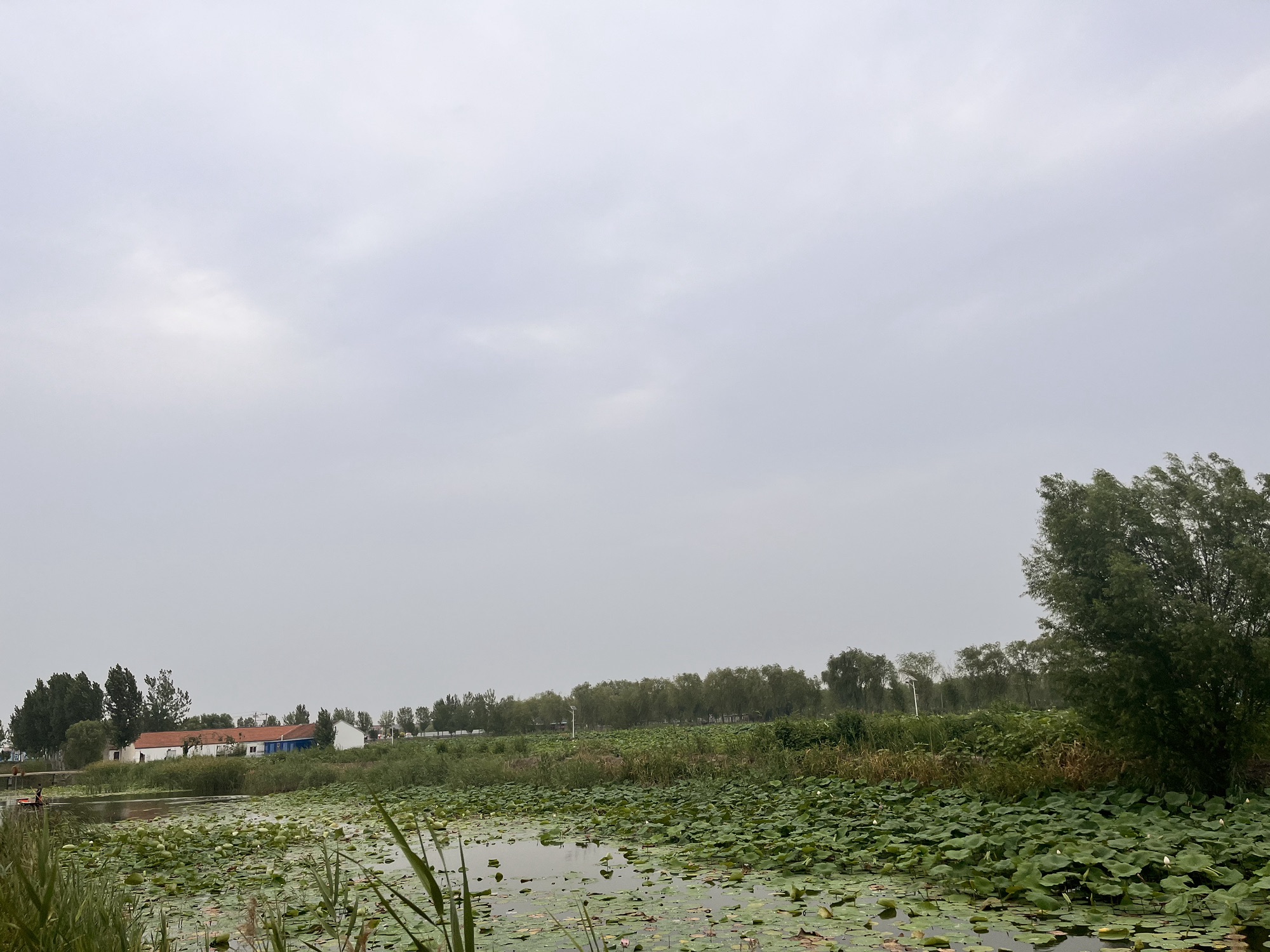 山东文旅马踏湖旅游区旅行图片 2