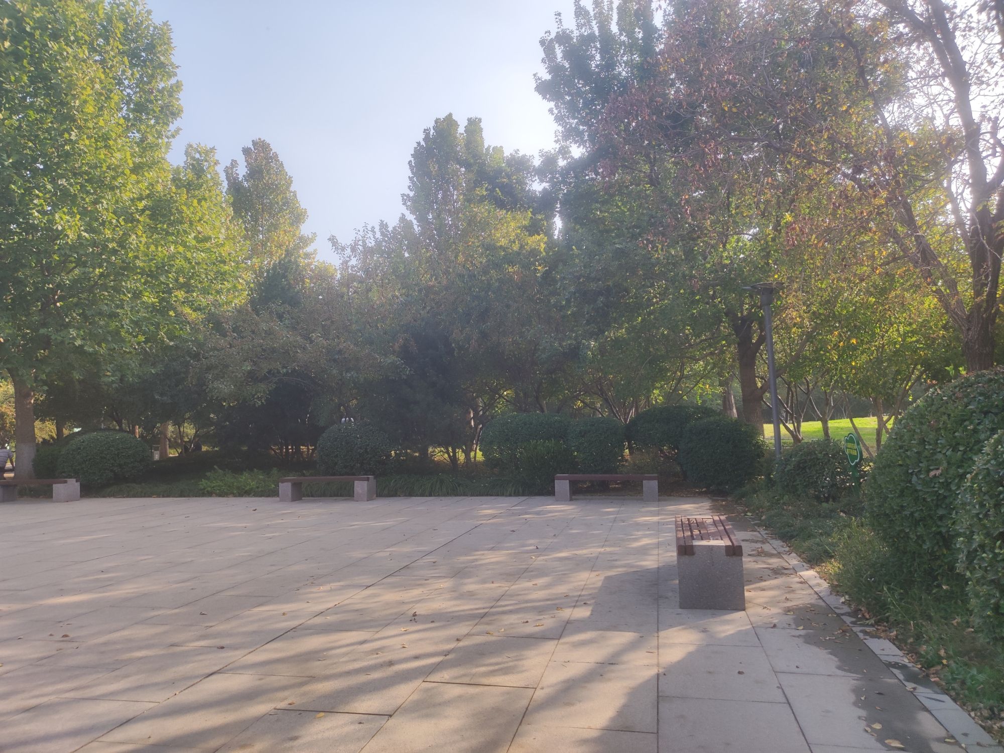 临淄人民广场旅行图片 3
