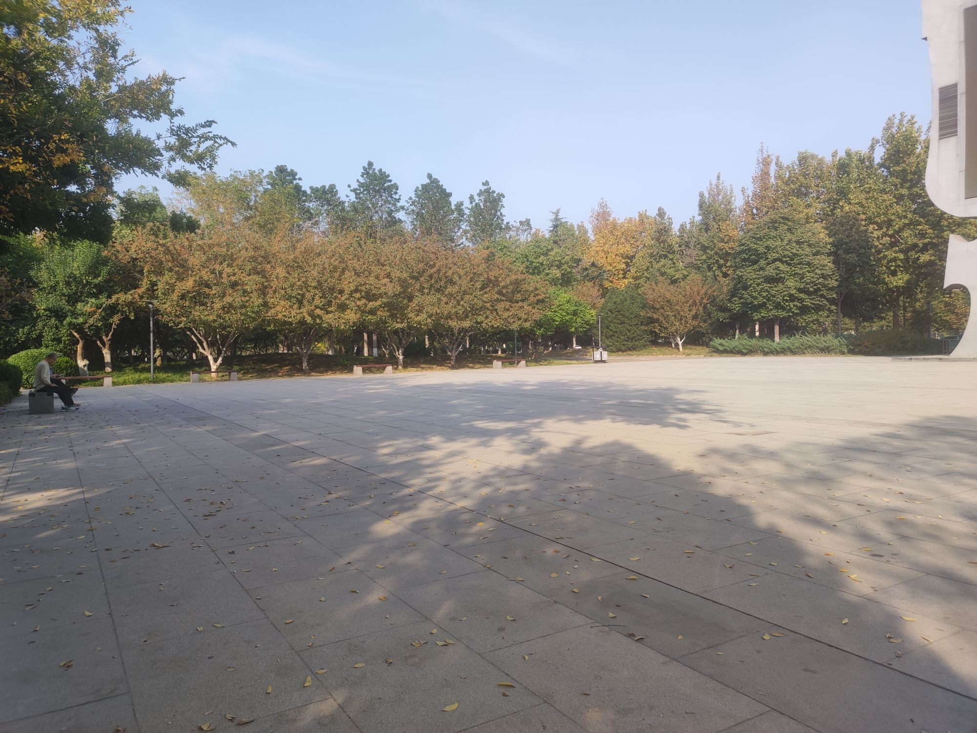临淄人民广场旅行图片 2