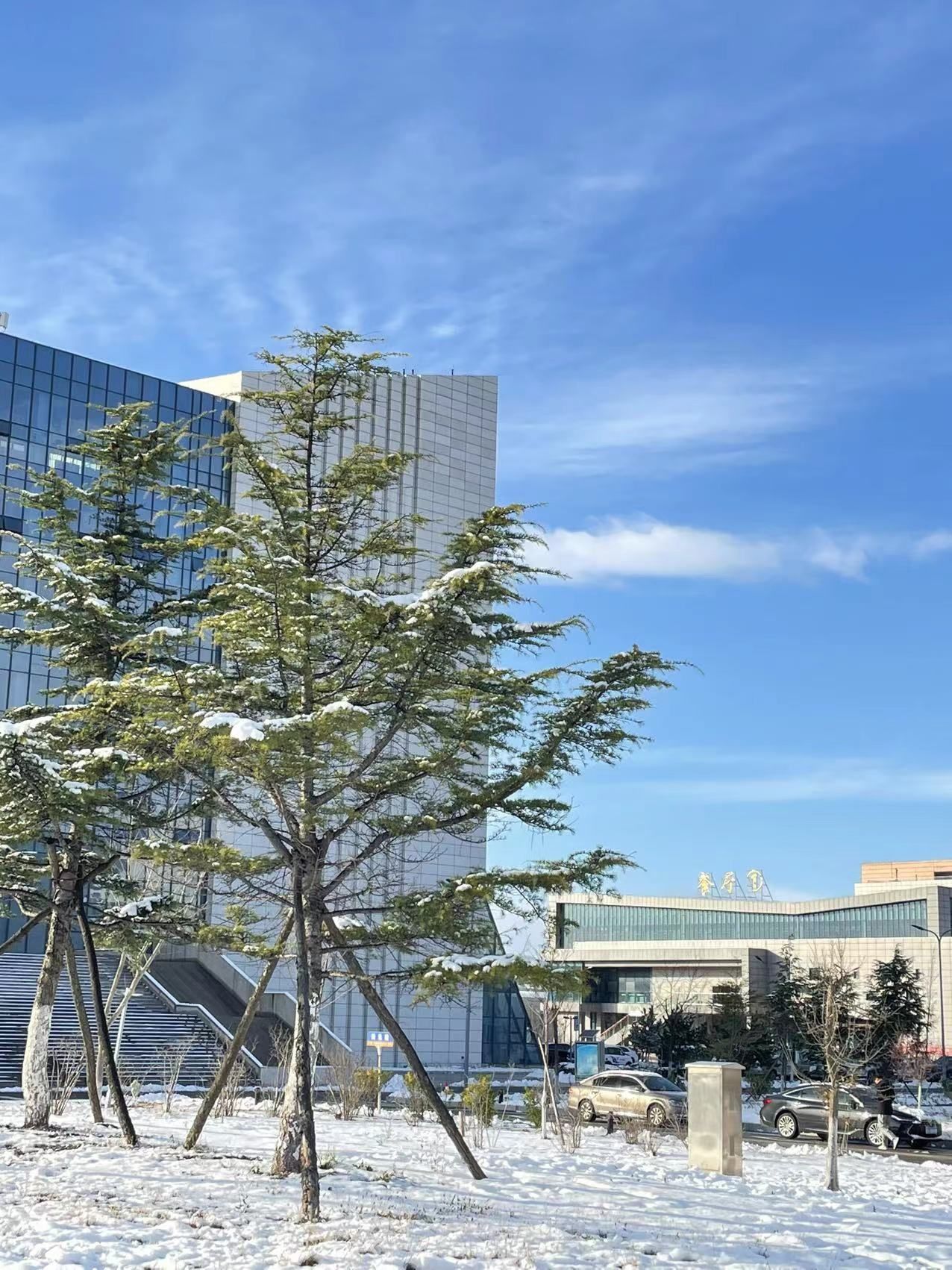 山东铝业职业学院