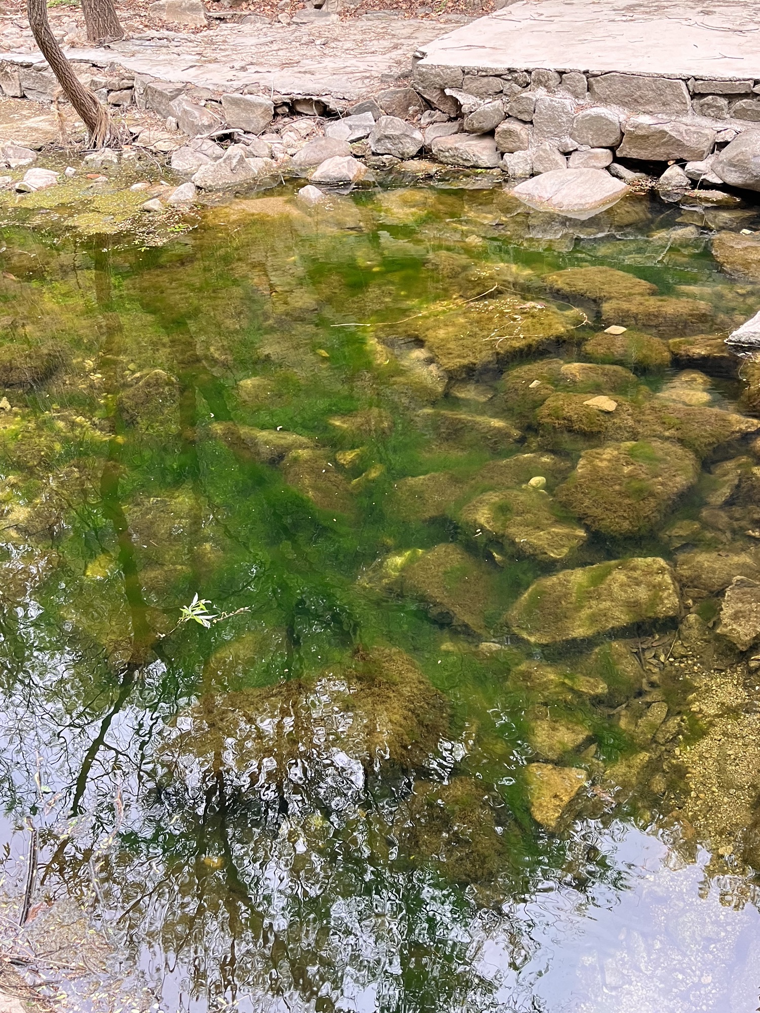 樵岭前风景区旅行图片 1