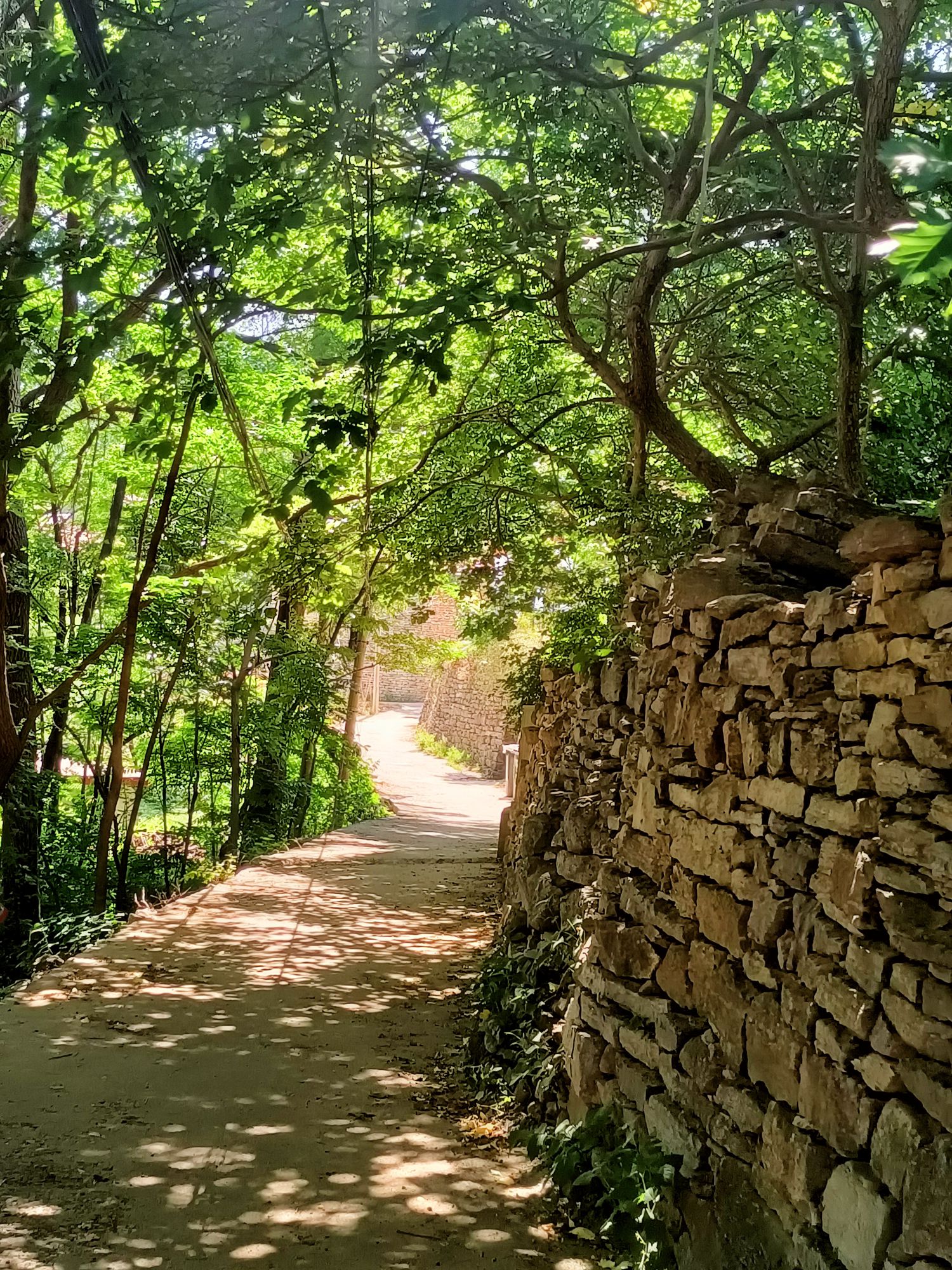 云明山风景区旅行图片 1