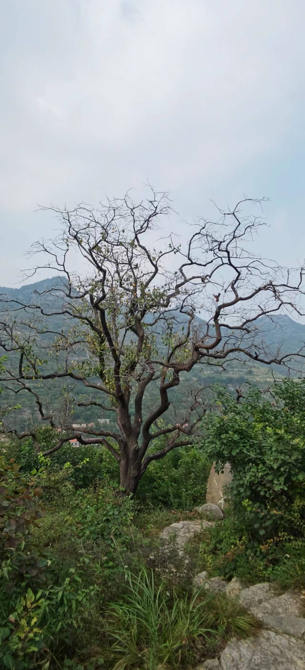 云明山风景区旅行图片 1