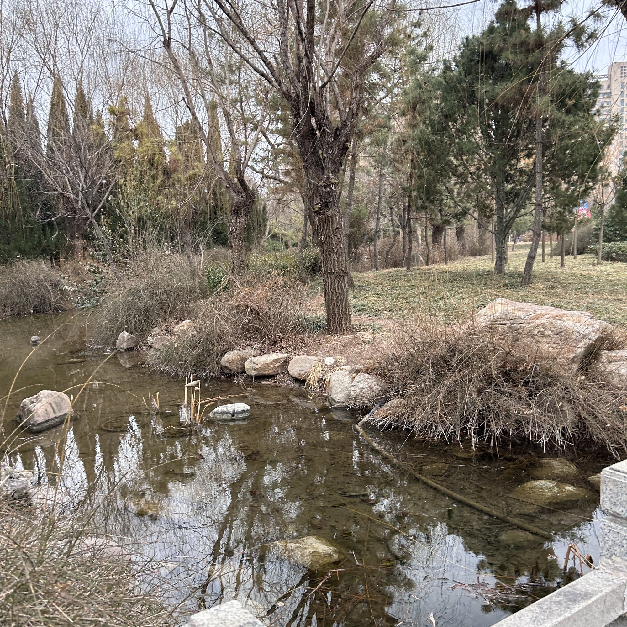 火炬公园旅行图片 3