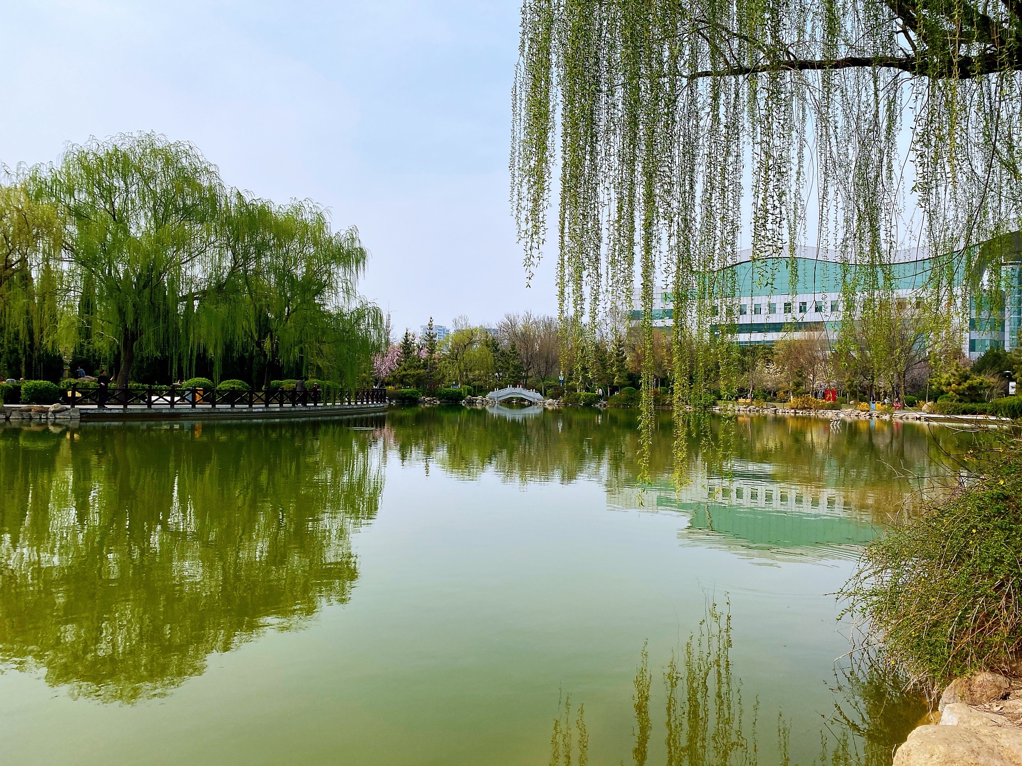 火炬公园旅行图片 3