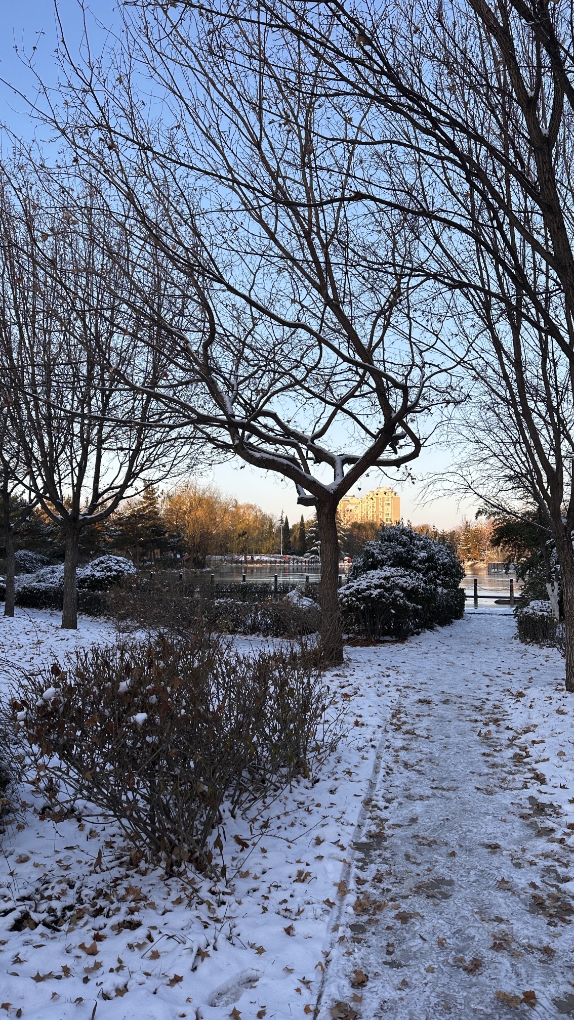 火炬公园旅行图片 1
