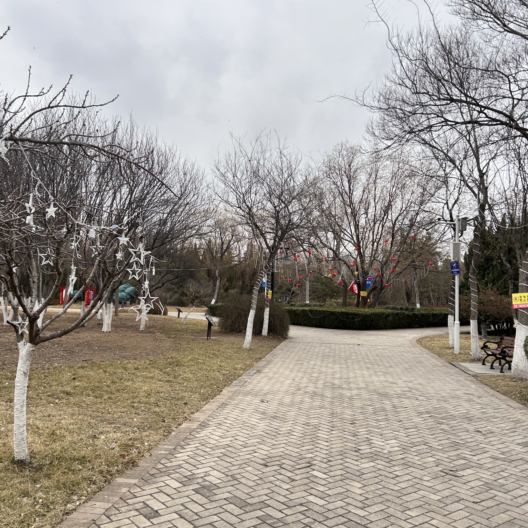 火炬公园旅行图片 1