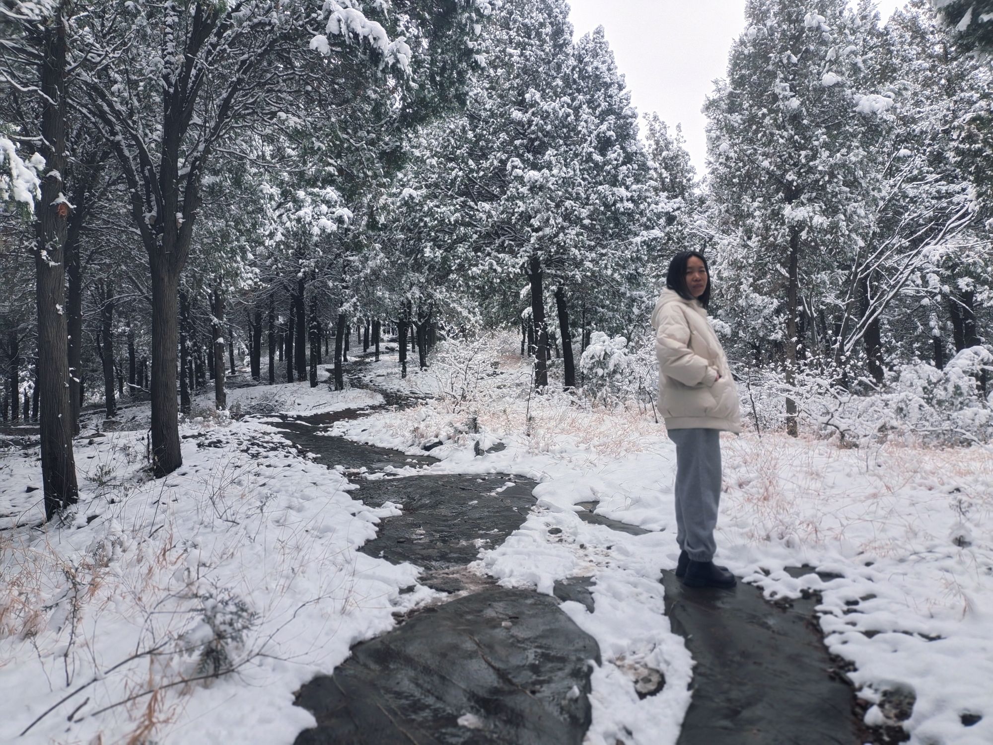 原山国家森林公园旅行图片 3