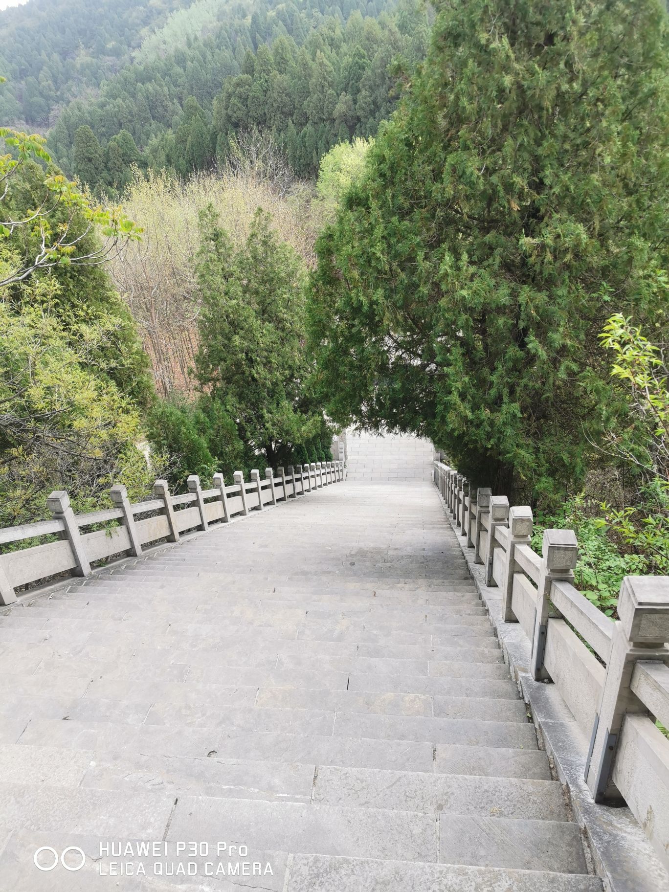 原山国家森林公园旅行图片 2