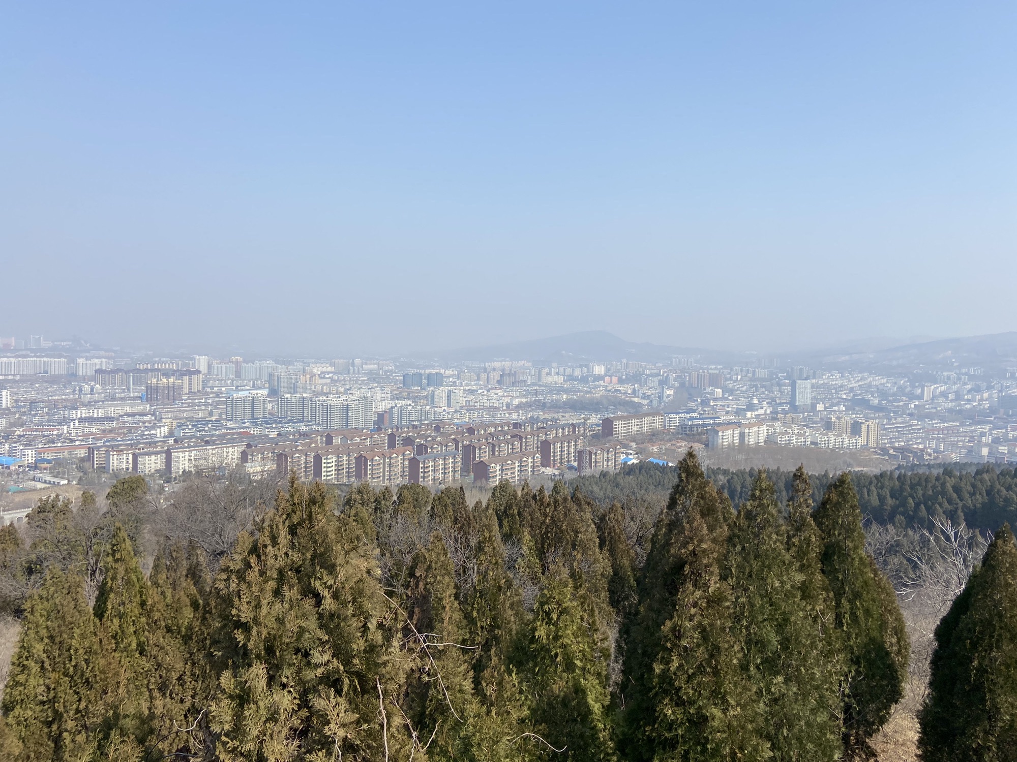 原山国家森林公园旅行图片 2