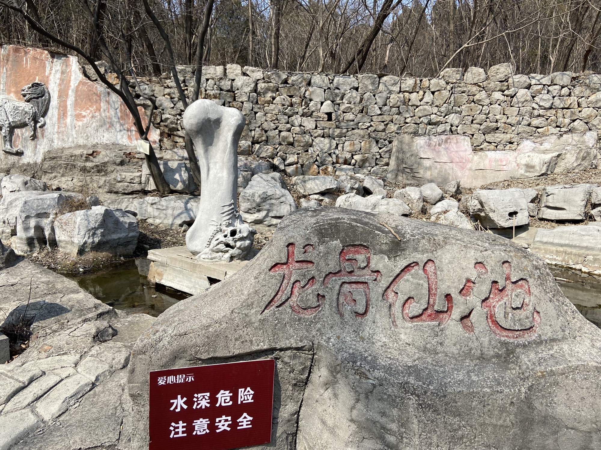 原山国家森林公园旅行图片 1