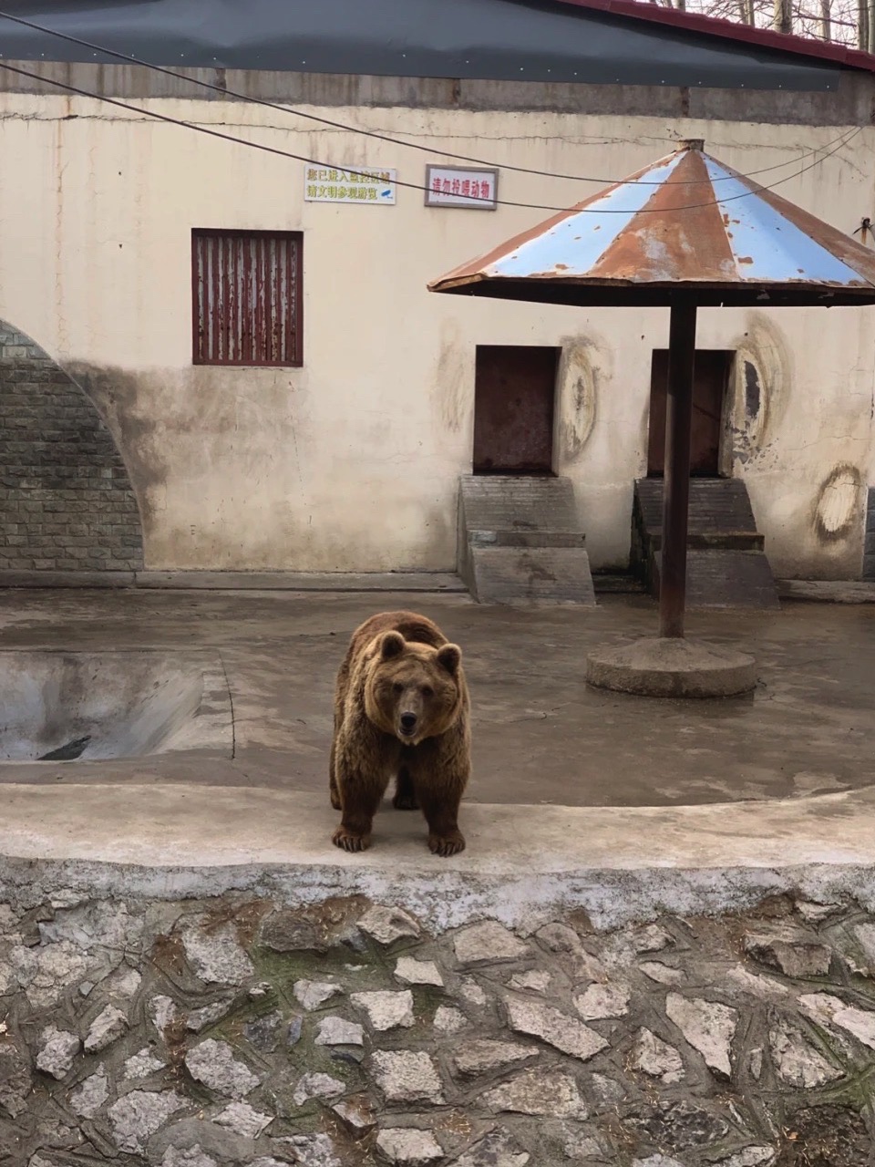 淄博动物园旅行图片 2