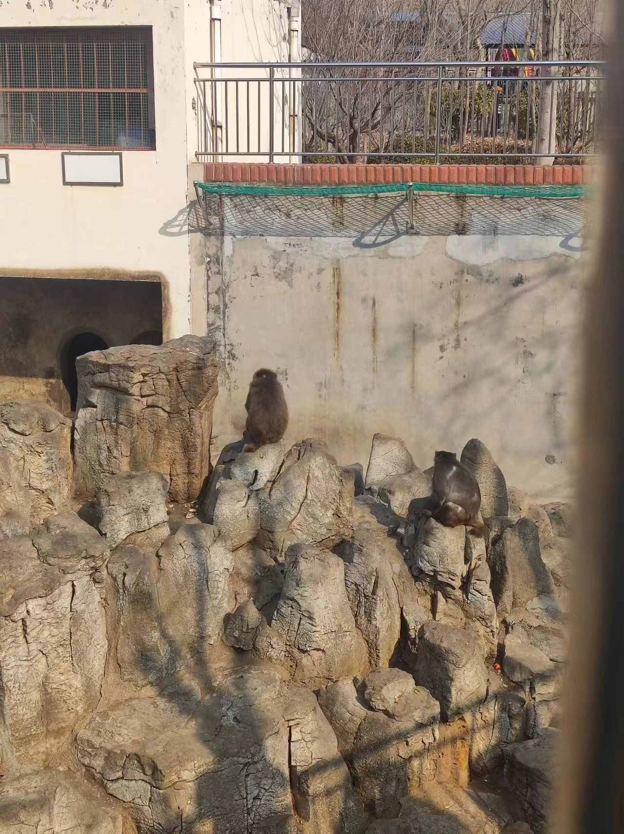 淄博动物园旅行图片 2