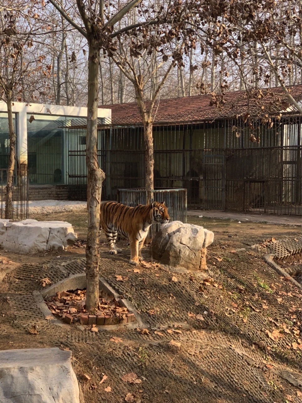 淄博动物园旅行图片 3